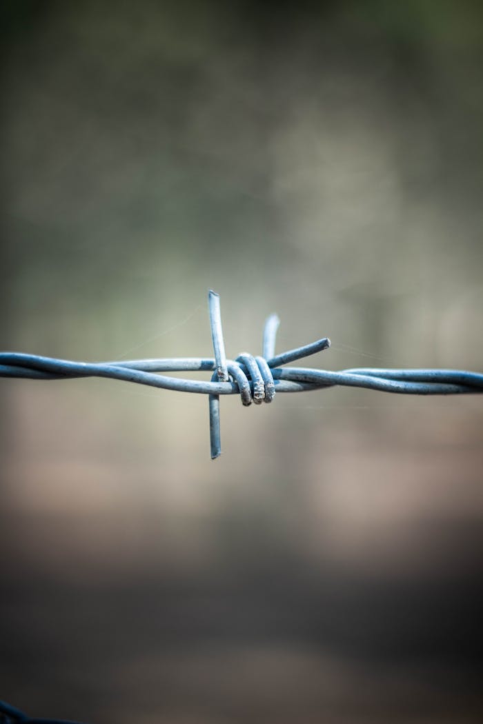 Detailed close-up of steel barbed wire with blurred background, symbolizing security and boundaries.